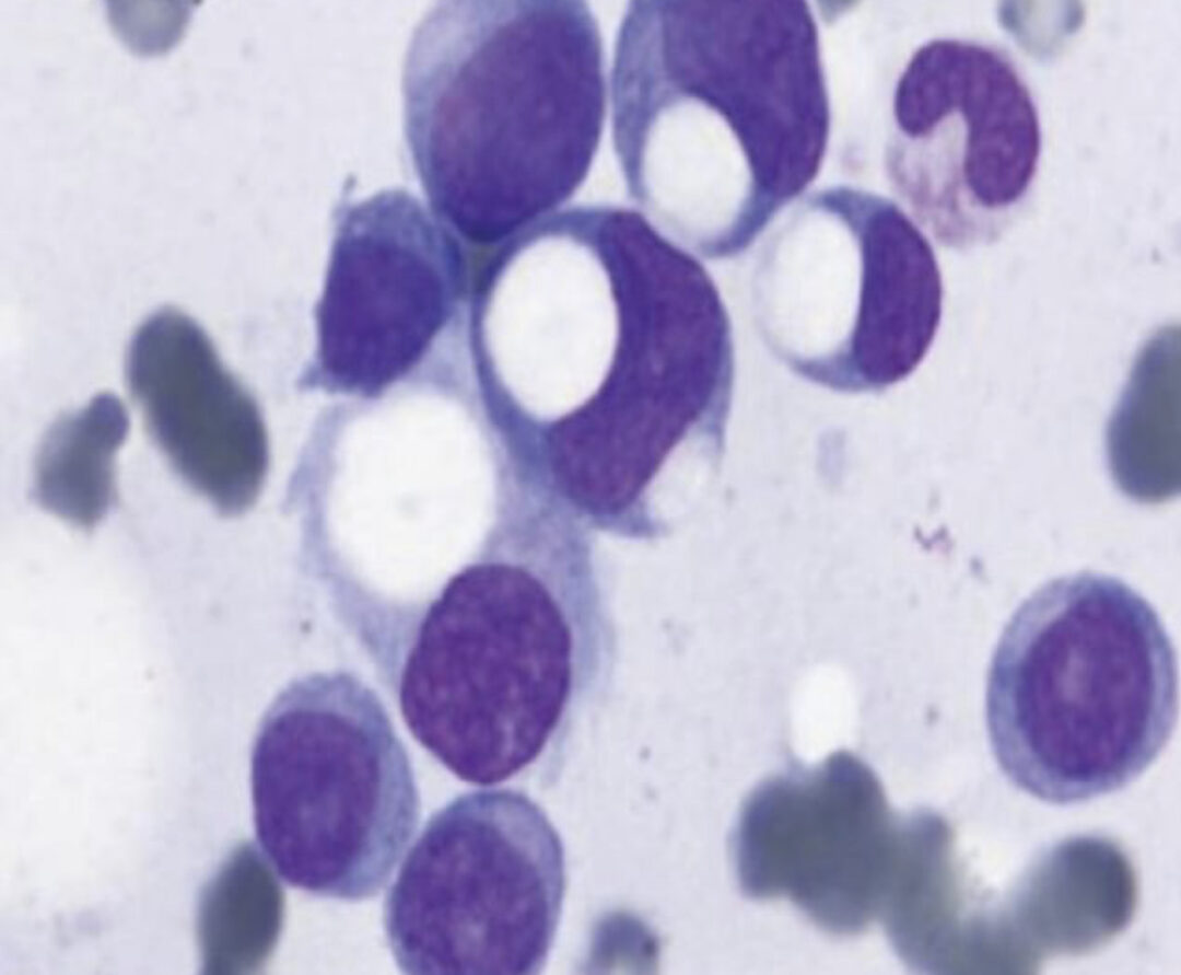 14B8C6AB-DA2A-4970-BEA9-9DC3CDAE3185